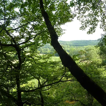 La Roseraie, Authentique Maison Du Perigord Noir Plazac