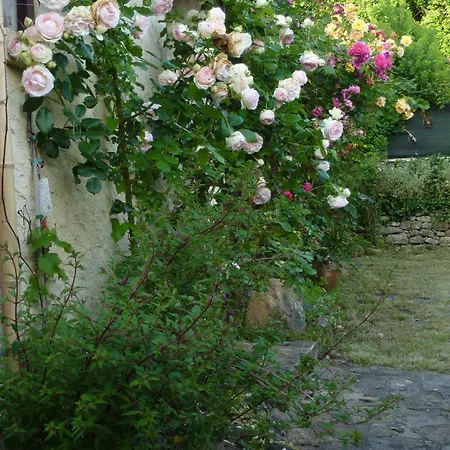 La Roseraie, Authentique Maison Du Perigord Noir *