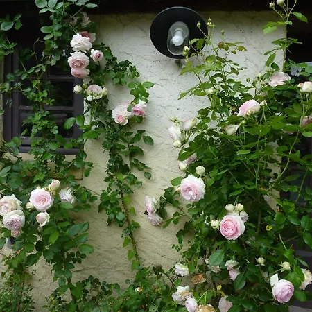 La Roseraie, Authentique Maison Du Perigord Noir Plazac