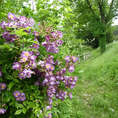 펜션 La Roseraie, Authentique Maison Du Perigord Noir