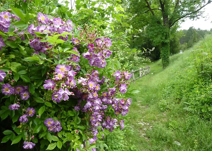 Ferienhaus La Roseraie, Authentique Maison Du Perigord Noir